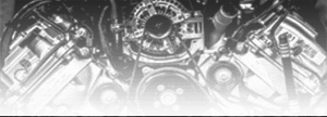 Autoaccessorio Polesano-sezione auto-foto manutenzione nero rovigo